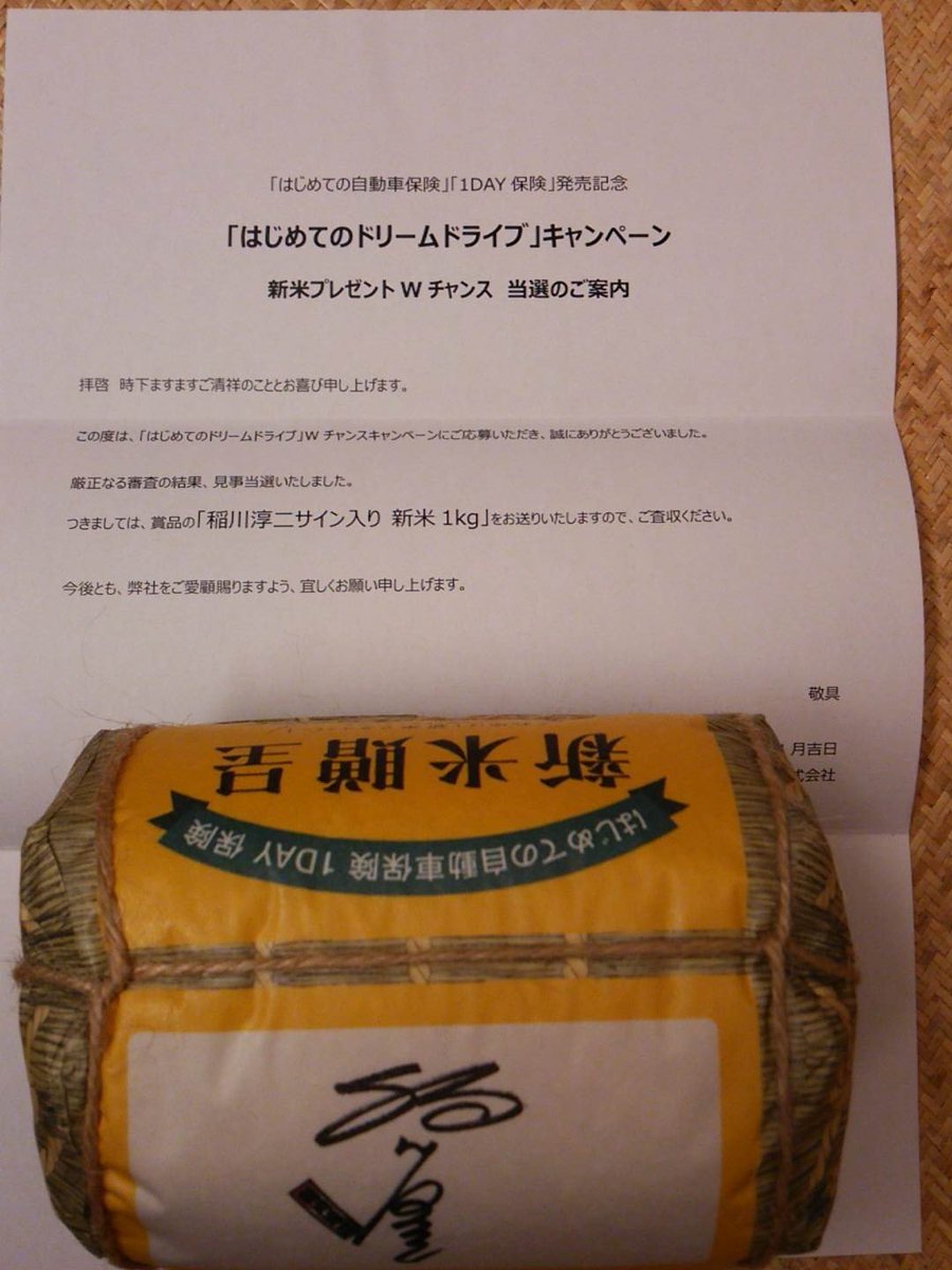 はじめての自動車保険 はじめての自動車保険
