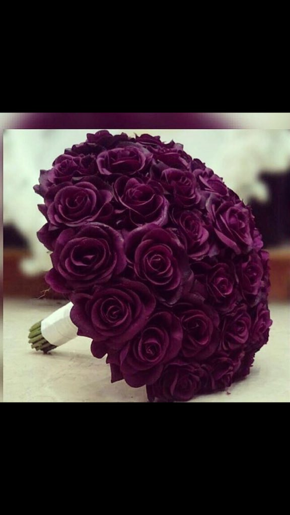 12737Saas tweet picture