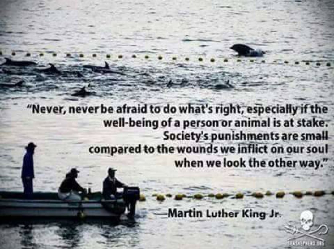 taxichick73's tweet photo. Thinking of u Ric. As if wot they do isn't bad enough ! #standwithric #tweet4taiji #ShutTaijiDown https://t.co/3s4k5KH0Aq