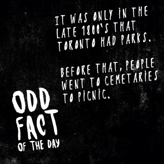 OddThomasBar's tweet photo. Instead of hitting up Trinity Bellwoods, your local cemetery was the only option. @blogTO #OddToronto #Toronto https://t.co/IC5uodpTBm