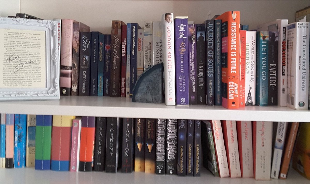 MarthaDunlop's tweet photo. I need more #book shelves. #doublestacking https://t.co/ks2qWJckDl
