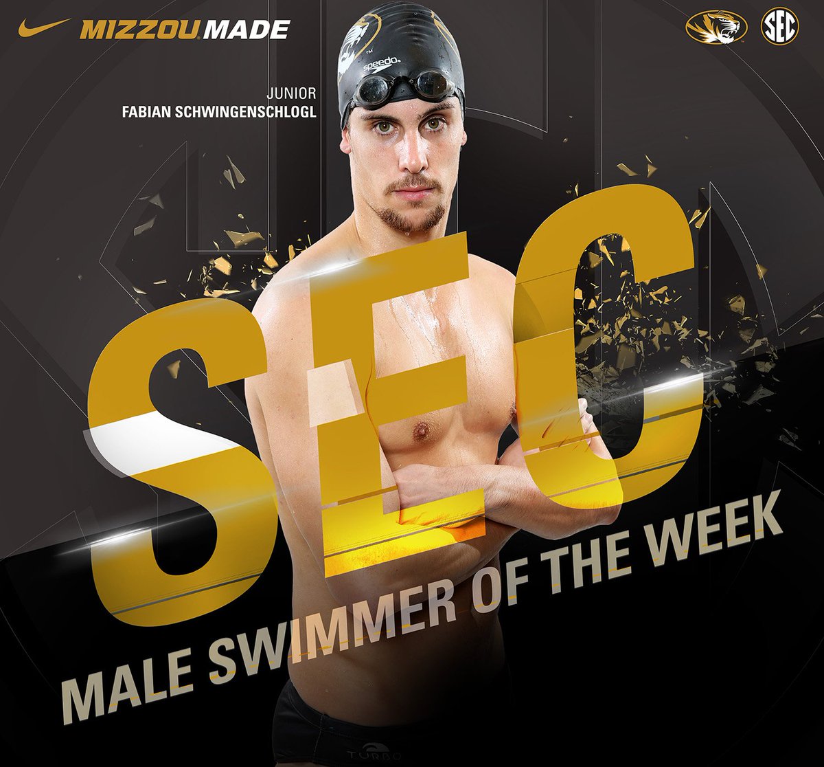 Mizzou Swimming & Diving tweet media