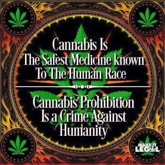 KristieAustin's tweet photo. #freetheweed https://t.co/rOnLy628RM