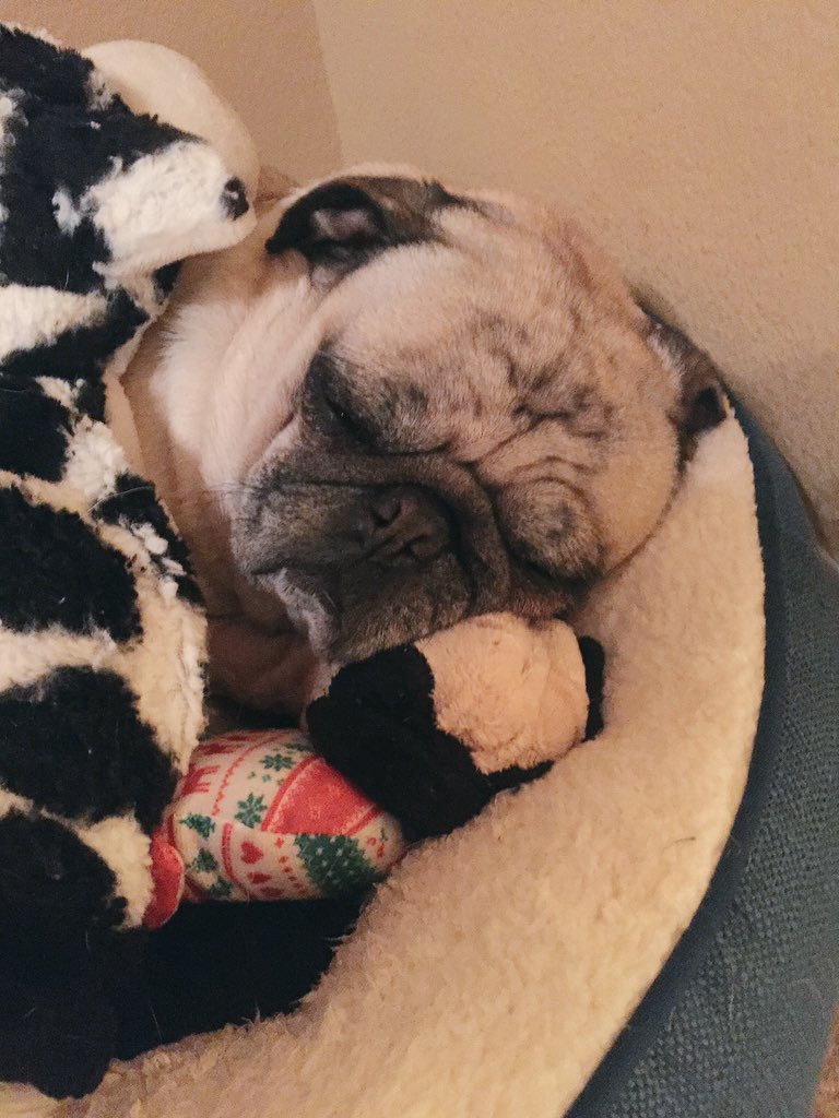 My favorite thing to do on a Tuesday #tuckmeintuesday