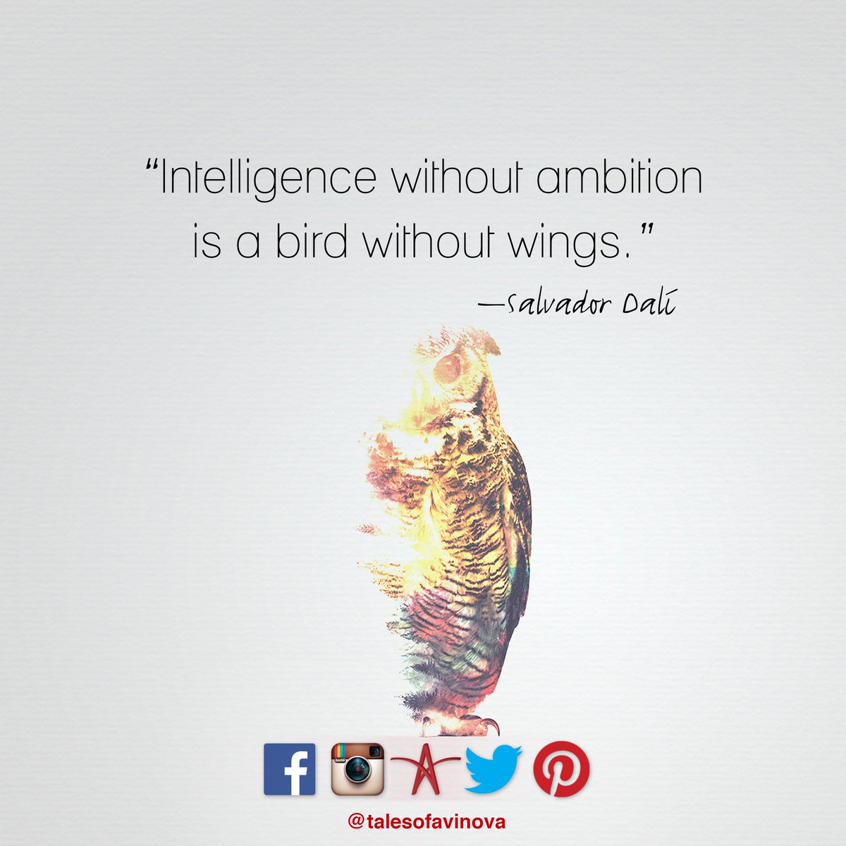 Intelligence without ambition is a bird without wings goo.gl/miVs8h #salvadordali #talesofavinova #quotes
