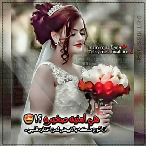 املي انتضارك (@elaphwww) on Twitter photo 