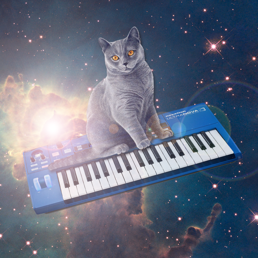 LoopWaveStore's tweet image. Don't we all love #catsonsynthesizersinspace? 🎹🐱