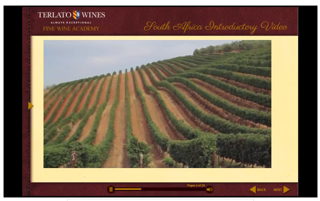 DiscoverSAWines's tweet photo. New to South Africa wines? Check out our 20-minute educational video. https://t.co/RVTxZz5yIr #southafrica #wine https://t.co/xUr9lTALmP