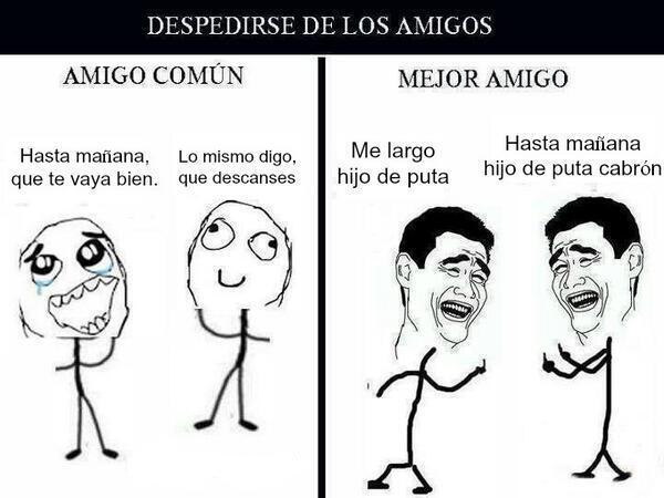 Ligoteo_ucm's tweet photo. Tipos de amigos https://t.co/HIvjHaqrFR