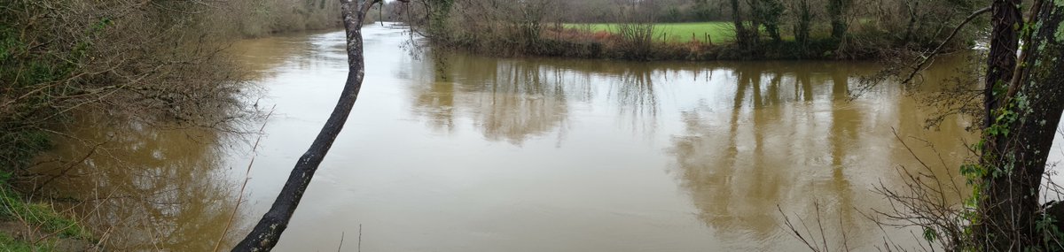 imixsed's tweet photo. Sediment plume from Bidwell Brook mixing into River Dart ... watch this space for first results on sources https://t.co/QN1zQ3M5Ik