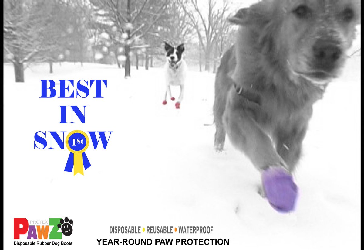 pawzdogboots's tweet photo. SNOWSTORM to impact millions of PEOPLE &amp; DOGS across US.
You: Hat, Gloves,Snow Boots
Dog:PAWZ DOG BOOTS 
Let It Snow https://t.co/pO2tk9adY4