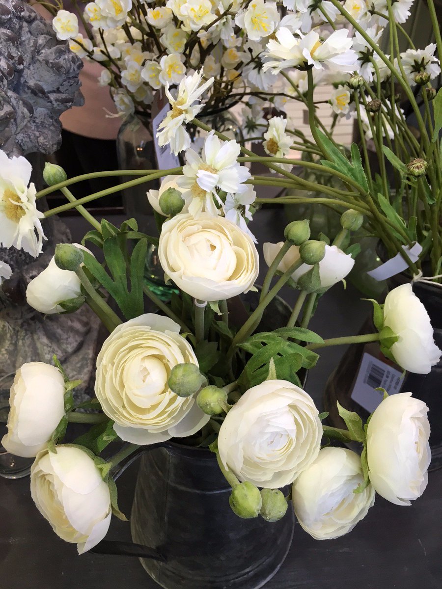 Sarah Al tweet media