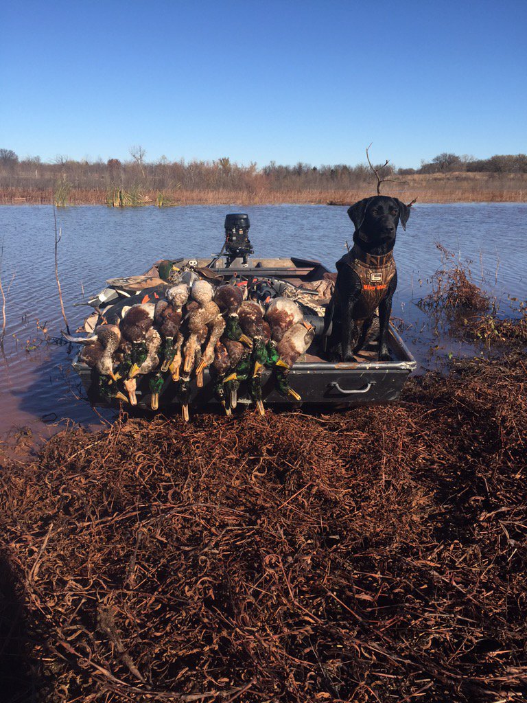 Clay Stubblefield tweet media