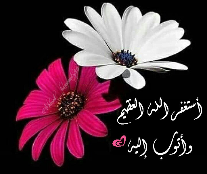 AhmedHammady99's tweet photo. @RTwit_1 @aboasmi @Rt_islamme @abdallh_RT @1Rtq8 @bssmtkher @islamic_pic @___do3a @D_R_87 @Betaqadaawia @___do3a1 https://t.co/jgs2X5EwmR