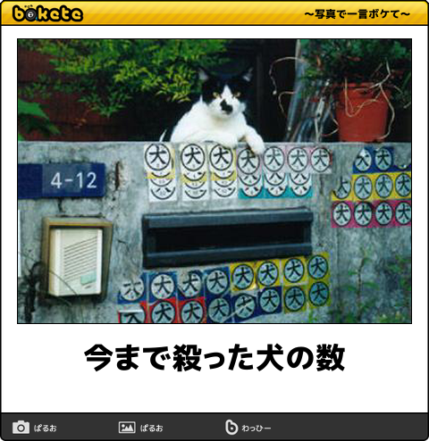 ボケて Bokete 公式 Auf Twitter 今まで殺った犬の数 ボケて T Co Enxswfgw0p T Co Vaqsdot8ug Twitter