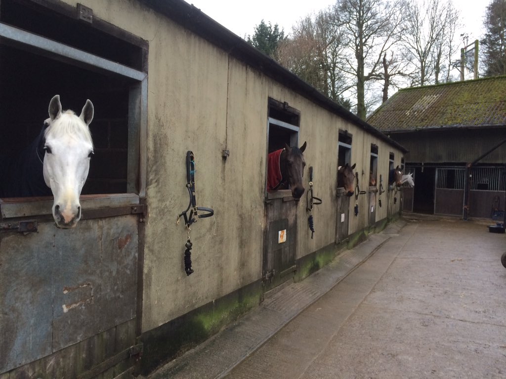A week into training at <a href="/yorksridingctre/">YorkshireRidingCntre</a> with Chris Bartle and having the most incredible time #Dreamteam