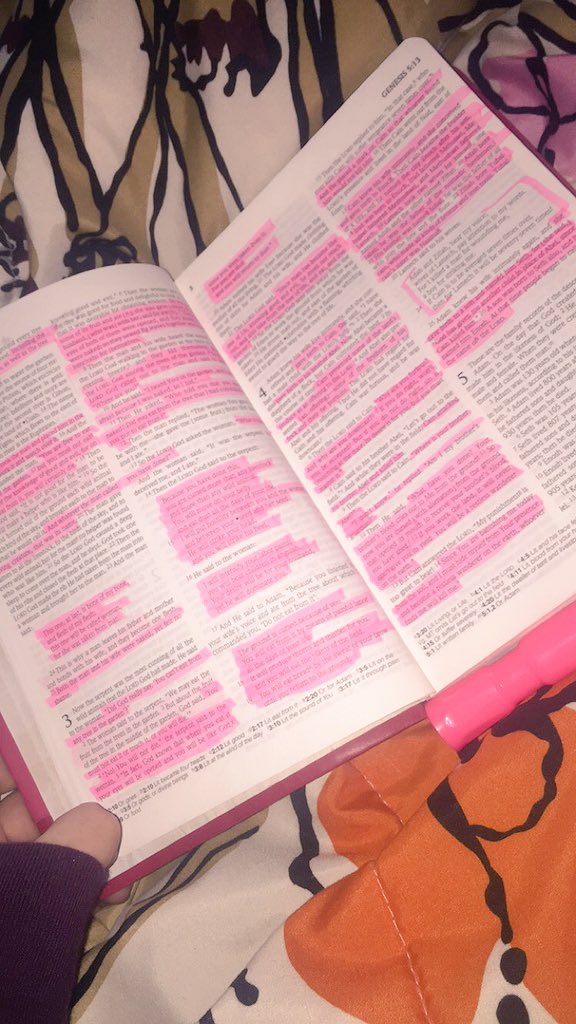 loganmpittman's tweet image. what better way to start off my morning? #spree16