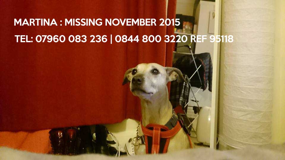martinalostdog's tweet photo. #lostdog #staffy #purley #beddington #Mitcham #carshalton #wallington if you need posters; https://t.co/ieJ2vclhId https://t.co/s62AxPVu6r