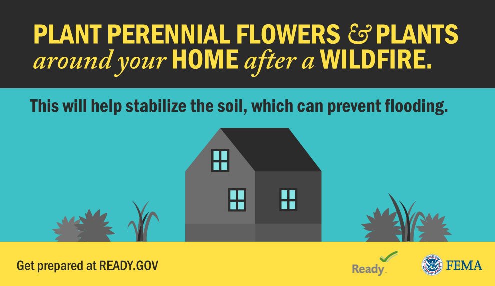 FEMARegion9's tweet image. Risk for #flooding &amp;amp; #mudflow can be higher for up to 5 years after a #wildfire. More at: floodsmart.gov.