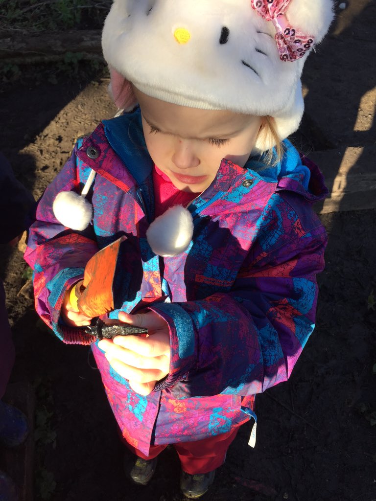 Forest School Fun tweet media