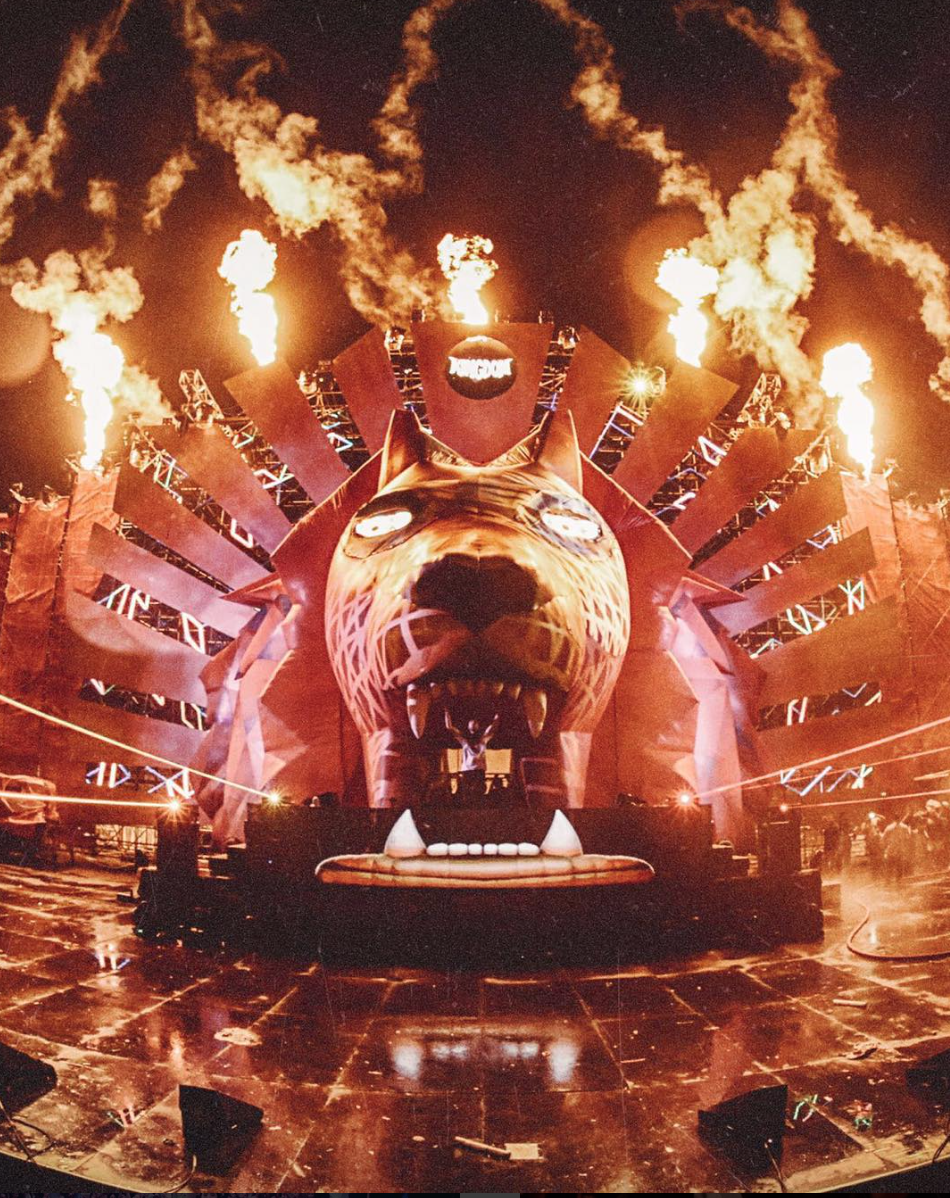 🦁 📸 : @CaesarSebastian https://t.co/RTX7VwxF3G