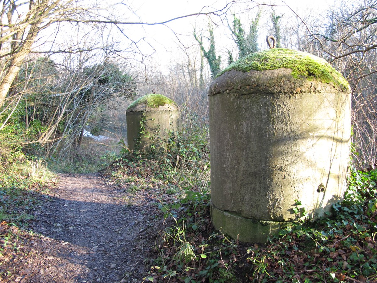 PillboxSG's tweet photo. This Afternoon Beautiful #Kingfisher Compliments Part Frozen #BasingstokeCanal along with #Pillbox and #WW2Defences https://t.co/wSDiUhRTqo