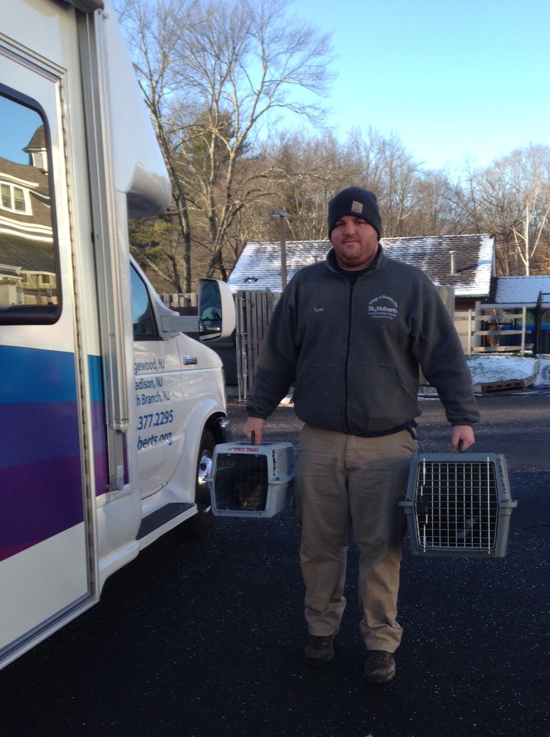 sthubertsanimal's tweet image. #TheZephyr is on the road again, bringing 23 cats &amp;amp; kittens to our MA shelter partner--they have room for kitties!