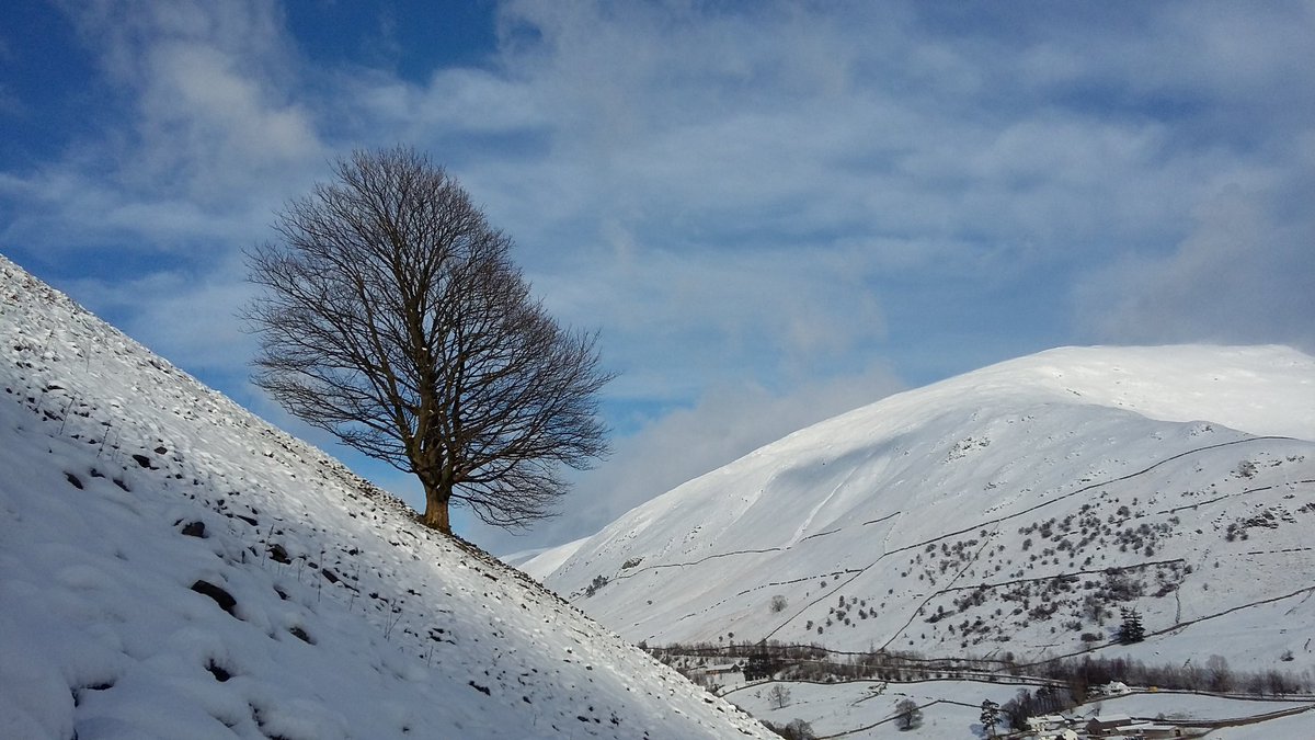 Harriet Fraser tweet media