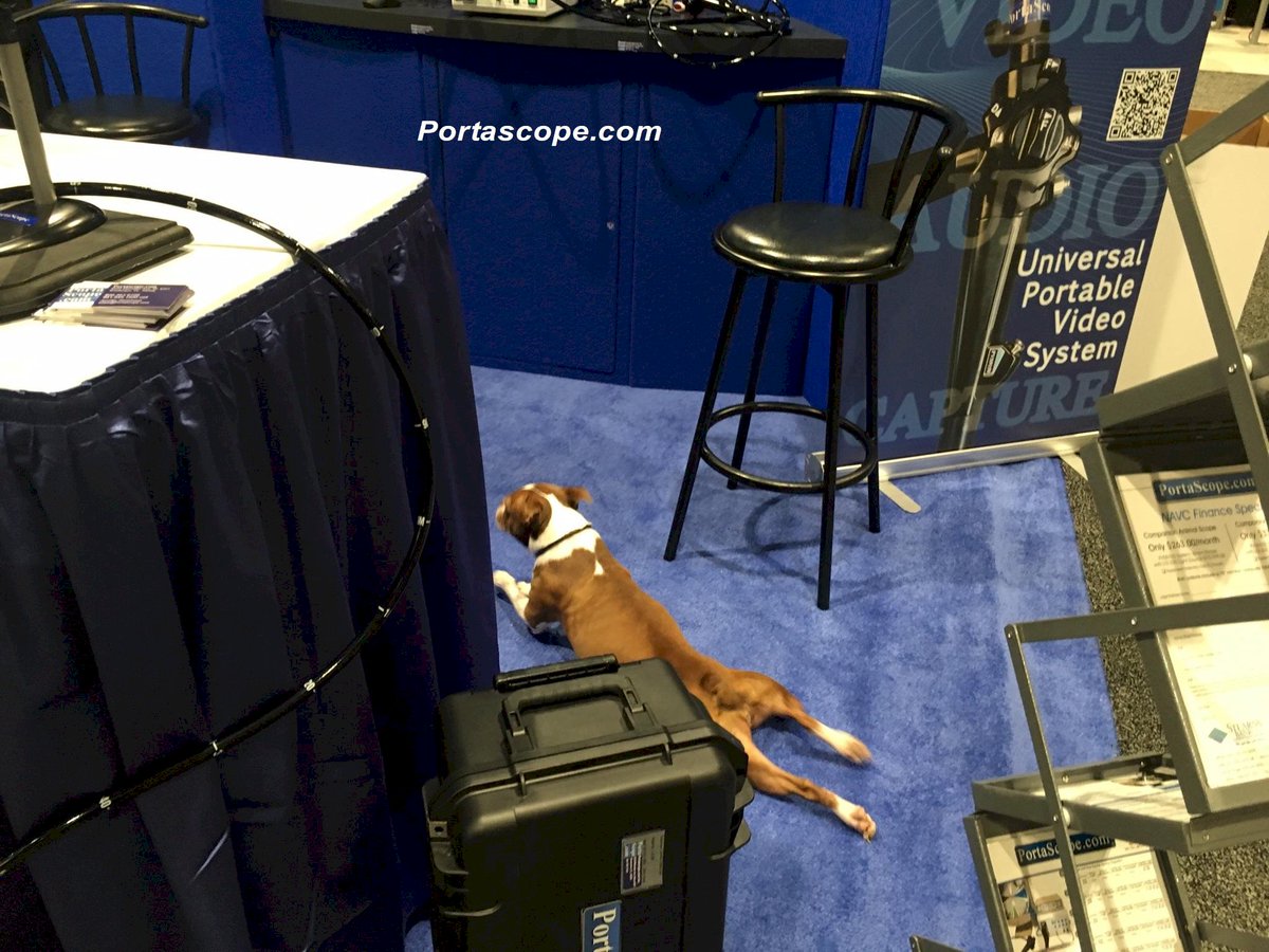 endoscopes's tweet photo. Rest up at #NAVC @The_NAVC #NAVC2016 Booth #407 for #Veterinary #Vet #Endoscope #Endoscopy https://t.co/wtuHrivqD2 https://t.co/c3hib45FnP