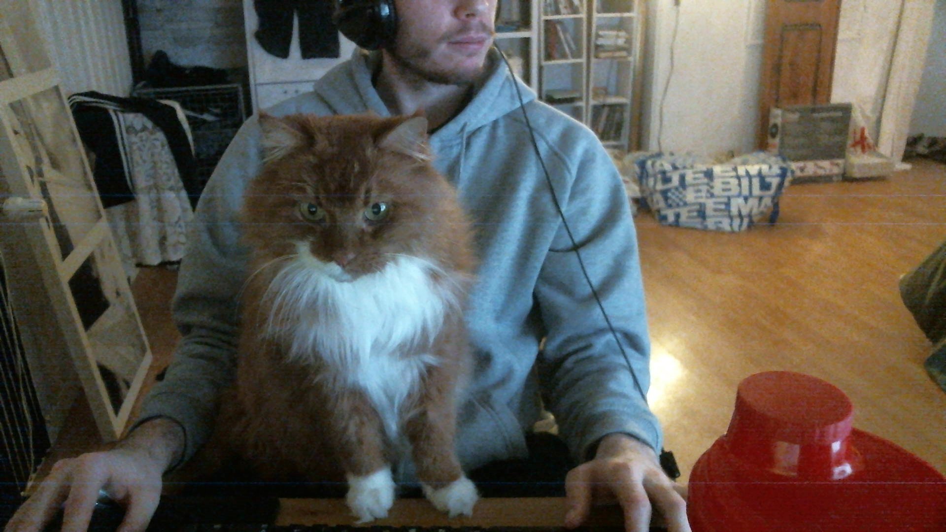 CZGrTTkWkAAts18.jpg:large