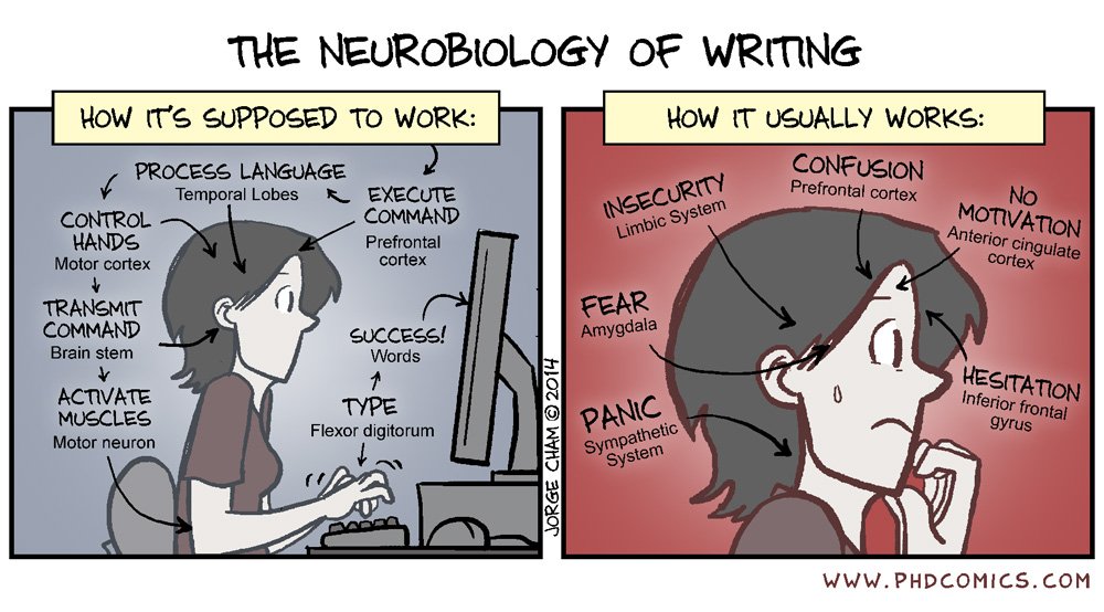 PHDcomics's tweet photo. The Neurobiology of Writing. https://t.co/8psHqvOLCF https://t.co/mNeYdgNVFC