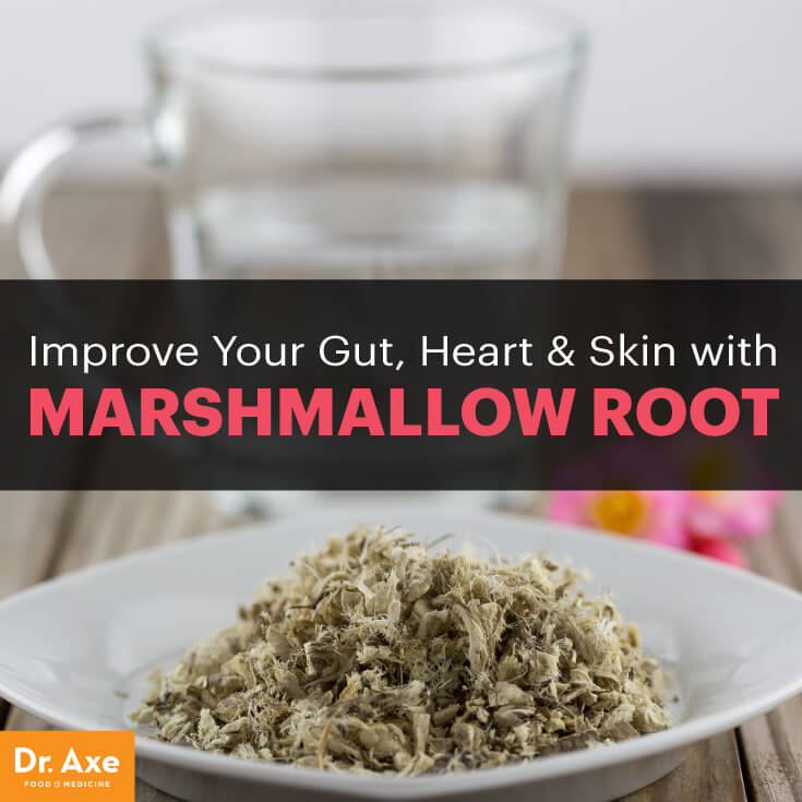 drjoshaxe's tweet photo. Marshmallow Root: The Ultimate Gut Protector https://t.co/mdvORx2moH #marshmellowroot #guthealth https://t.co/Y4T8VZrGu1