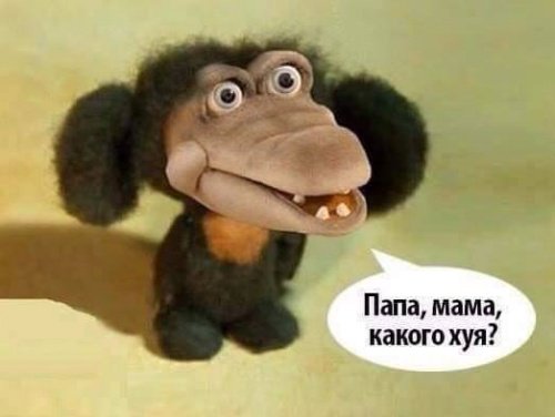 Пресс-секретарь Путина поддержал угрозы Кадырова в адрес инакомыслящих в России - Цензор.НЕТ 5700