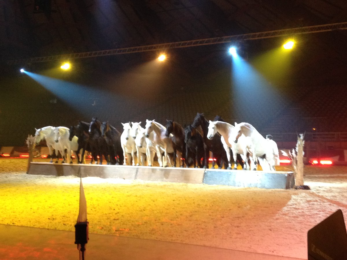 C'est parti pour une semaine de spectacle équestre en #Avignon ! #ChevalPassion #NigremontWorldTour