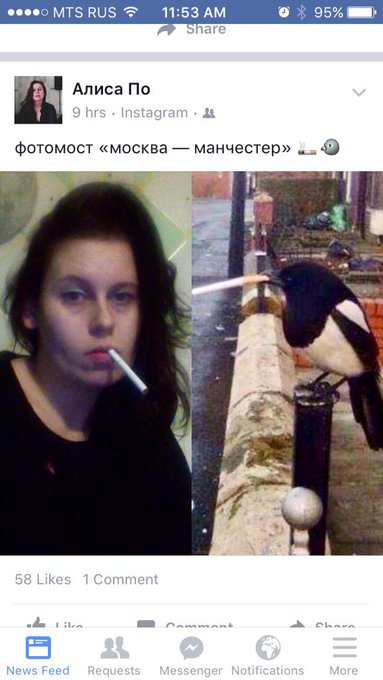 Редактор рубрики "Секс" на Афиша.ру https://t.co/QI8r3aT71a