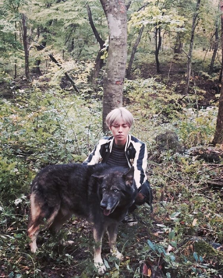 ariesb_hw's tweet photo. 그림이네🐺 https://t.co/572ZYjiqBi https://t.co/XO79RvRHcB