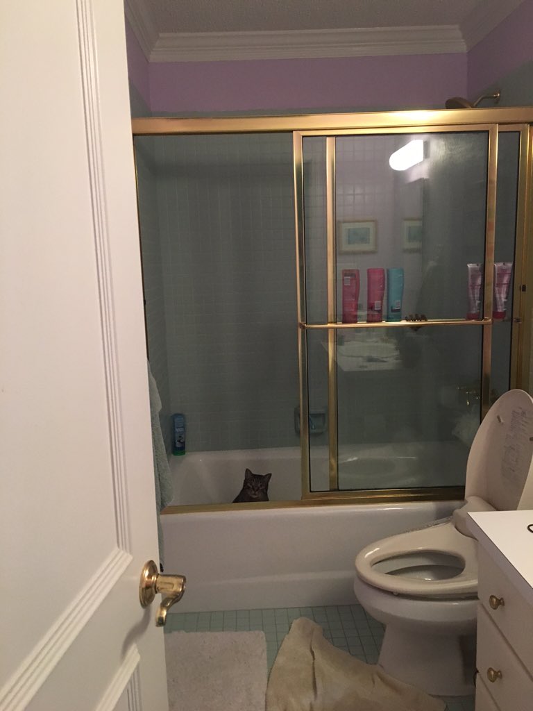 wheresbeans's tweet photo. #wheresbeans https://t.co/MScaCZ4bEW