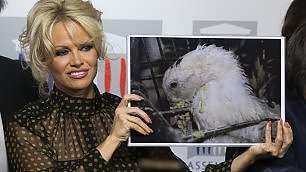 repubblica tweet picture