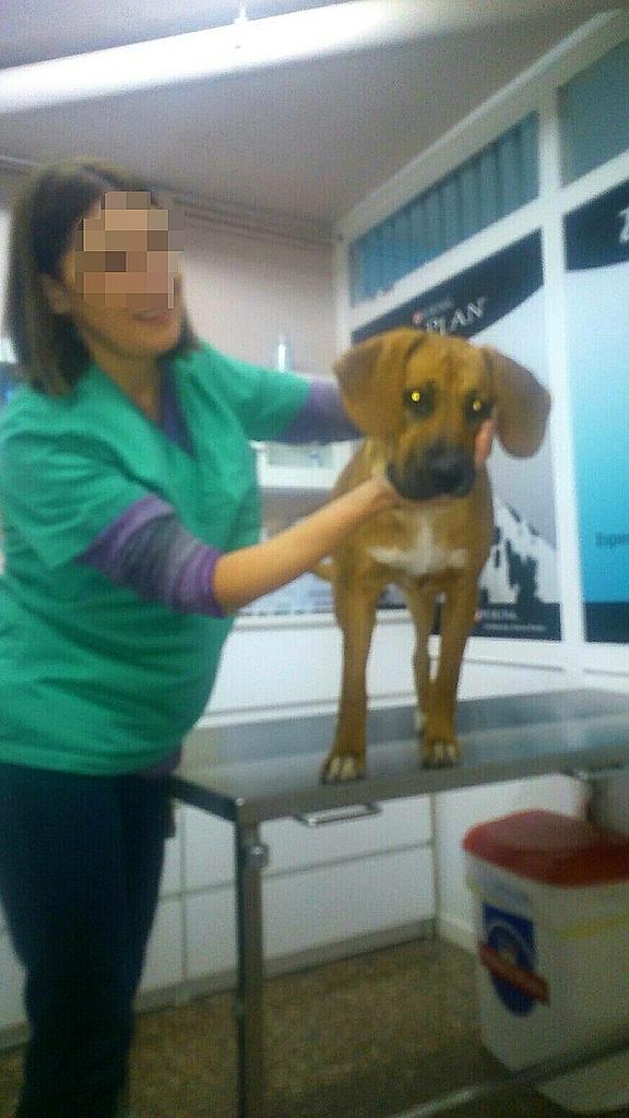ayuda_kris's tweet photo. Hola amigos! Queremos daros una gran noticia: Kris ha ganado el juicio y ha recuperado a Sara! Están muy contentos! https://t.co/e4HO8xjlDq