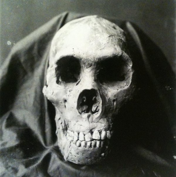 Qafzeh's tweet photo. Le Moustier 1 - 1909 photograph of reconstruction. The Neanderthal skull was discovered by Otto Hauser #Qfossil https://t.co/IFC6WewqiH