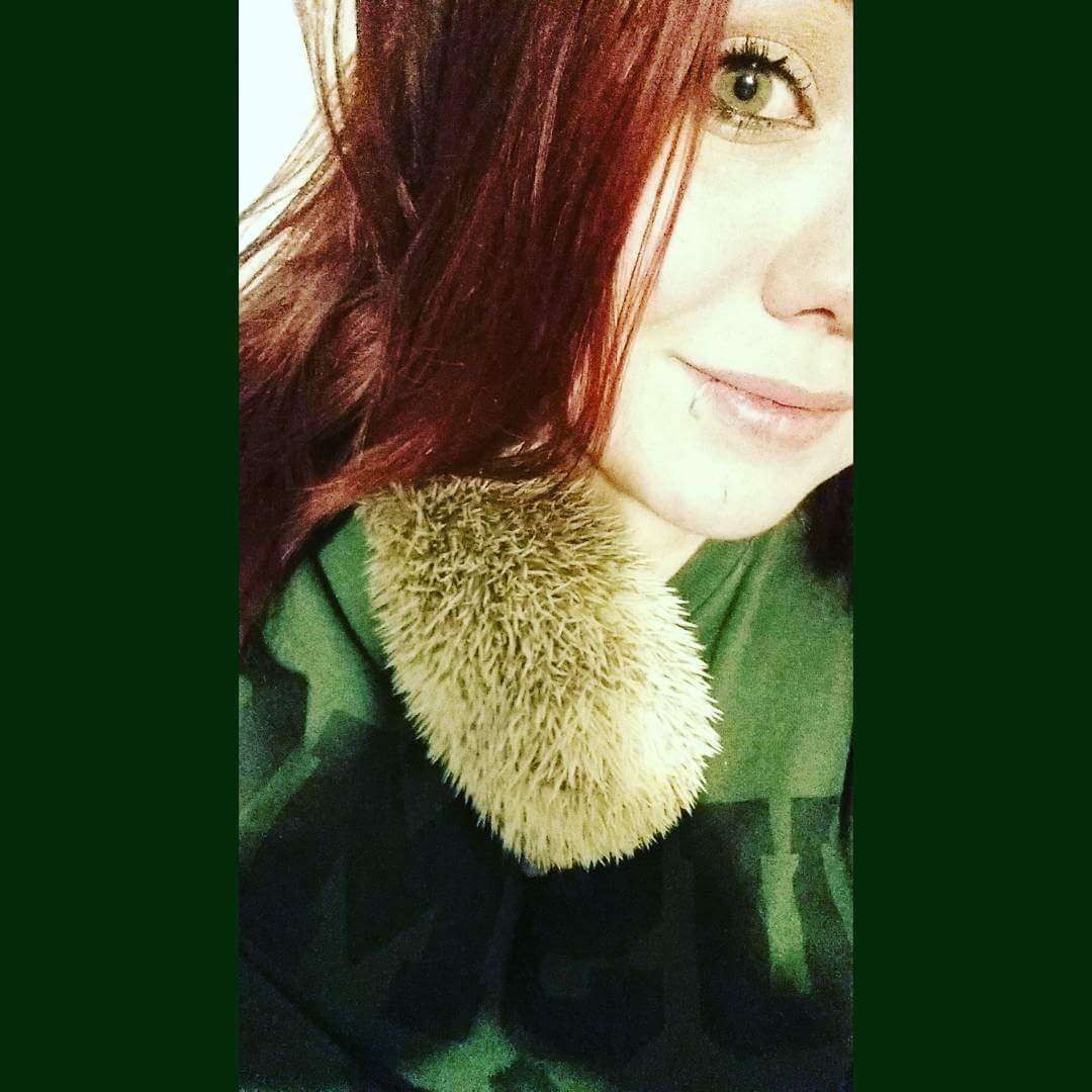 Odin likes to cuddle. 
#hedgehoglove