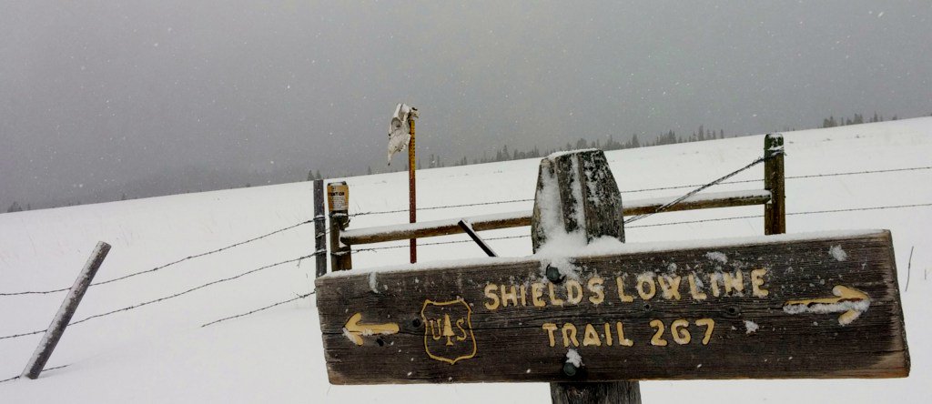 Brad Bauer tweet media