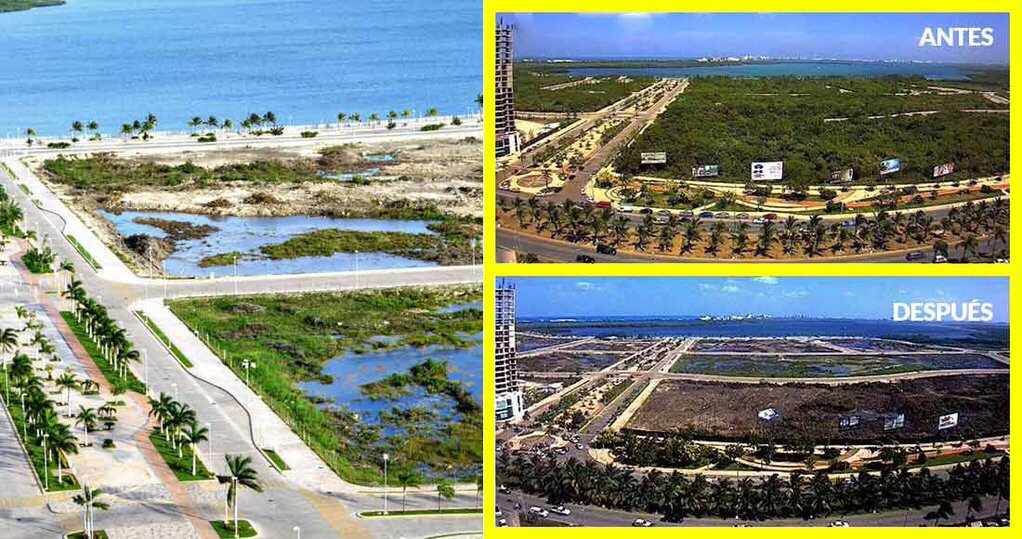 SofiaSisniega's tweet photo. @betoborge Cómo pueden permitir tal destrucción? No tienen límites, escuchen a la población! #Tajamar #Cancún https://t.co/GMYrIAsvk0