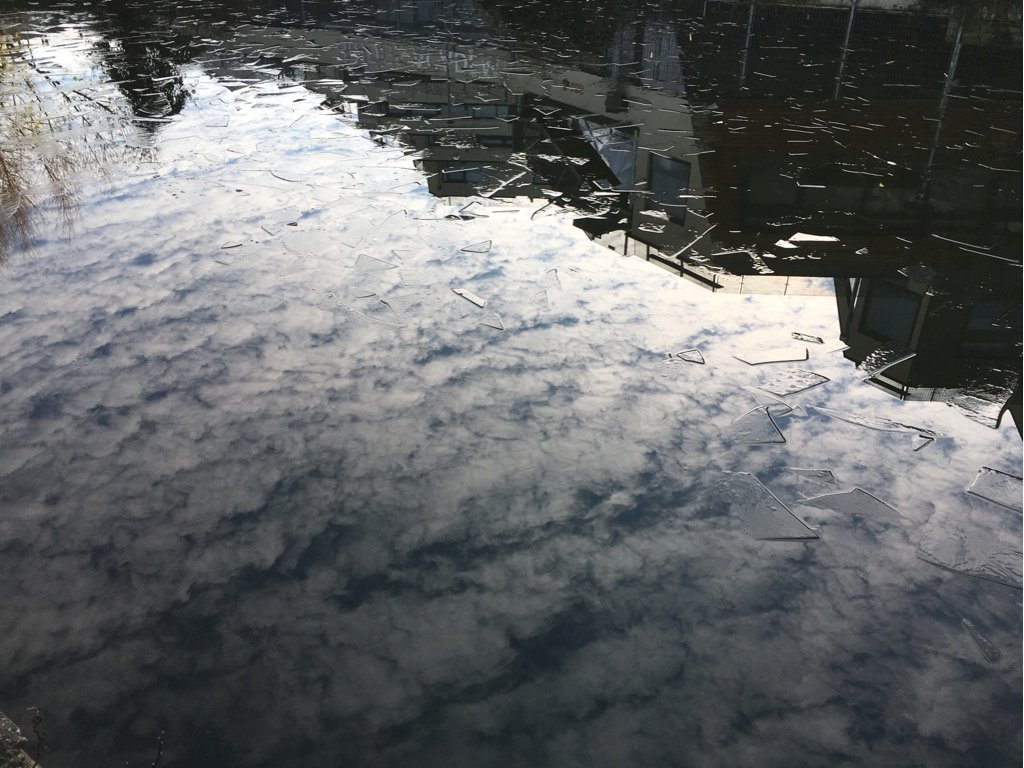 ProtectTheCanal's tweet photo. Yup that is ice forming on the surface of Regent’s Canal - that’s how cold it is in London today. https://t.co/keUMocX3WT