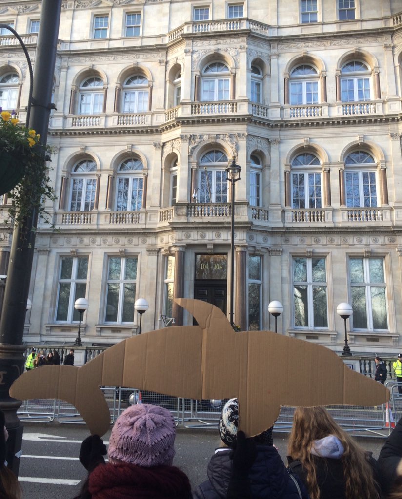Jools_Orca's tweet photo. @Dolphin_Project Where is your flag? #standwithric https://t.co/FFxMt1IM06