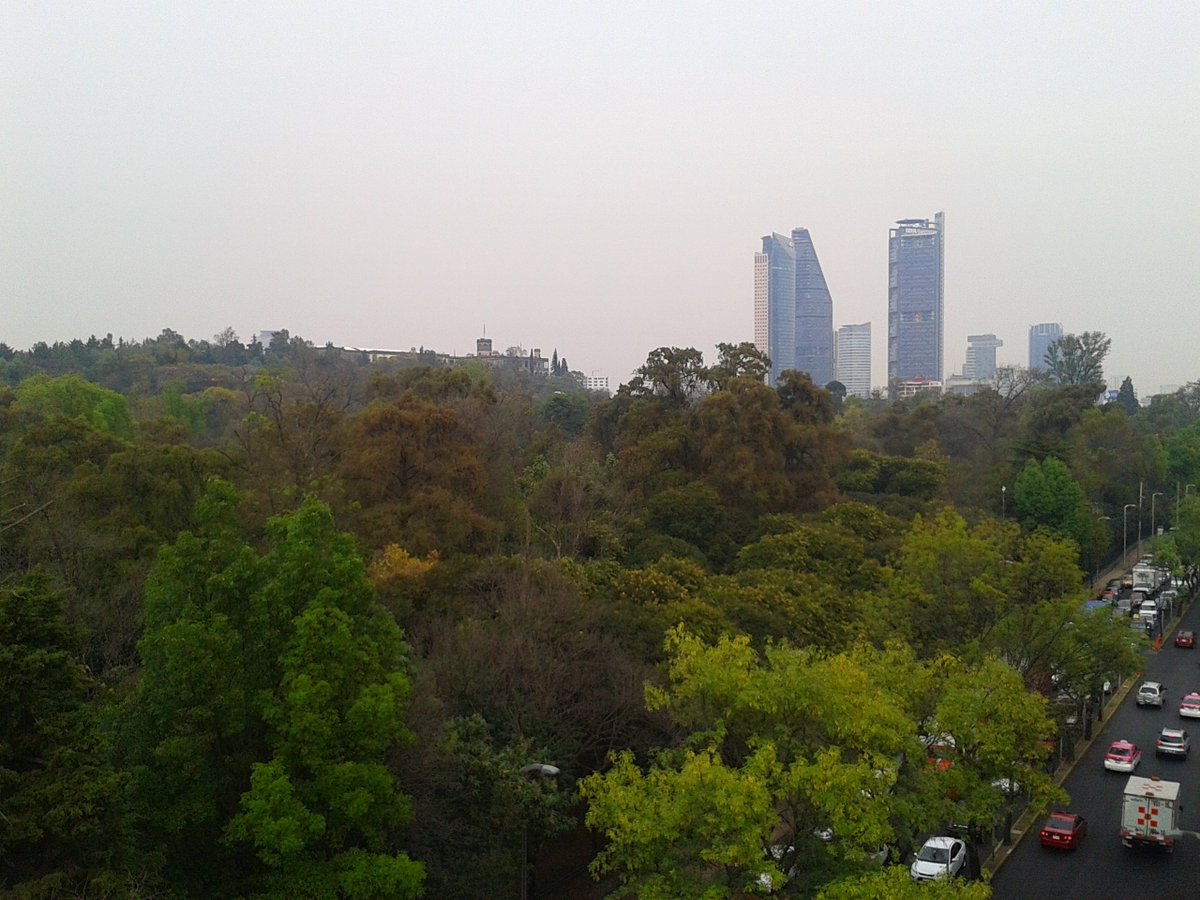 #HoyConfiesoQue La ver dad si, tengo bonita vista desde la oficina.