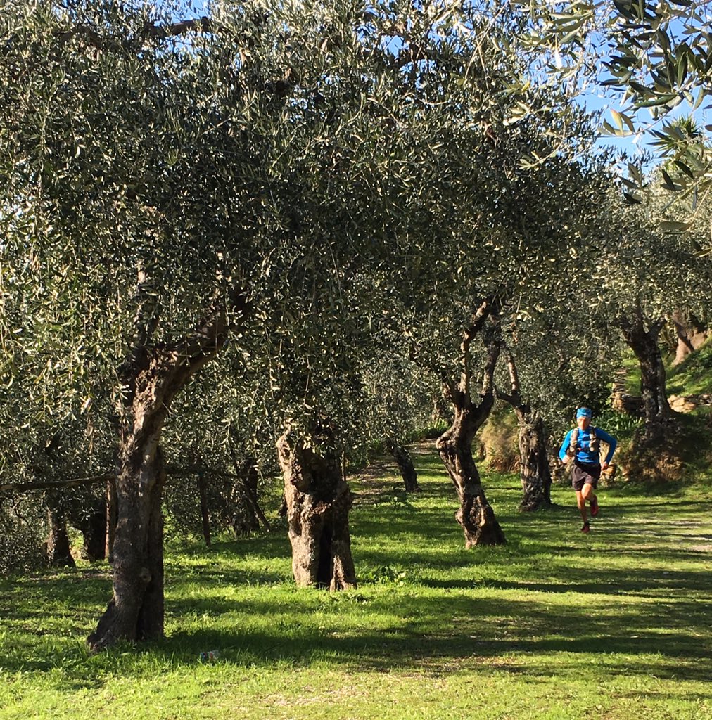 soulrunningMAG's tweet photo. #verticalfaeta #trailmontipisani #1063ad #montepisano #montepisanowild https://t.co/iXupa4oZin