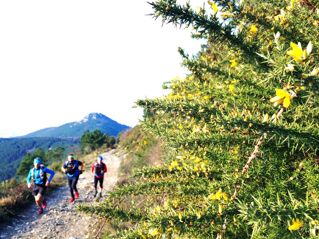 soulrunningMAG's tweet photo. #verticalfaeta #trailmontipisani #1063ad #montepisano #montepisanowild https://t.co/iXupa4oZin
