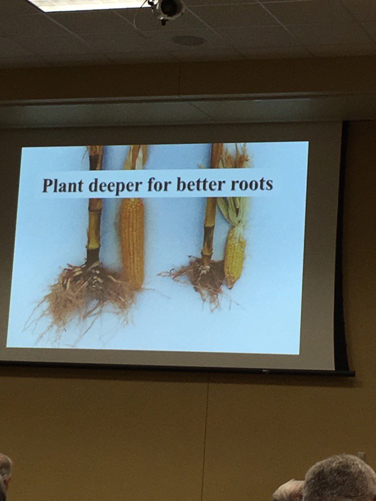 JeremyOlson12's tweet photo. Interesting slide for no-till planting . Error on slightly deeper than slightly shallower. #plant16. https://t.co/kp5VaqZpaf
