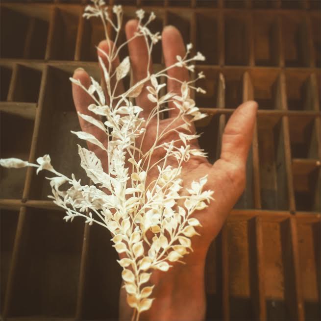 some botanical sculpting from this week  #ellenjewett #art #botany #lovenature #ooak